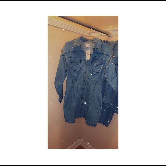 Danni Denim Dress - Picture 4 of 5